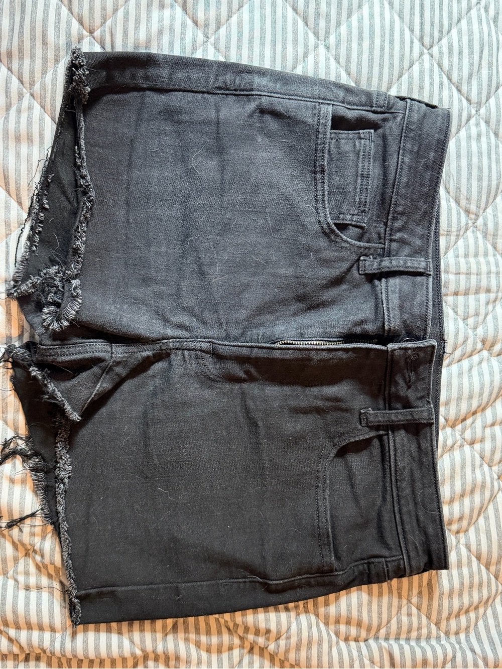 Women’s Black Denim Cutoff Shorts American Eagle- size 12